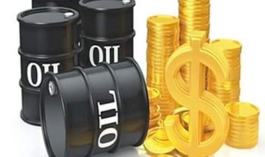 ‘Oil Industry Still Suffering Significant Damage from Covid-19’