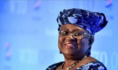 U.S. Rejection Throws WTO Leadership Race Into Confusion