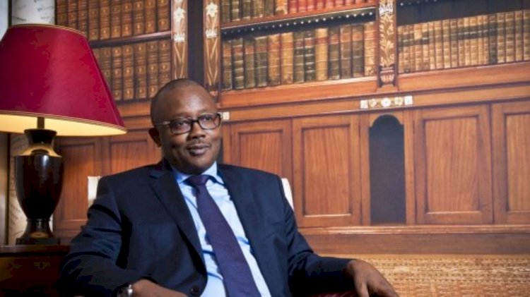 Coup d’état in Mali: Umaro Sissoco Embaló makes its show at the ECOWAS