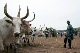 Suspension of the export of Malian livestock in ECOWAS areas