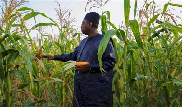 SENEGAL :ECONOMIC RECOVERY PLAN: THE STATE BETS ON AGRICULTURE