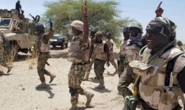 How Nigerian troops aided the rescue of American hostage — Military