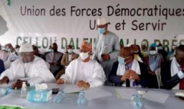 UFDG ally defends Dalein ’’ victory ’’, responds to opponents calling for transition