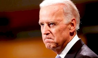 Nearly p American Muslims vote for Democratic candidate Biden