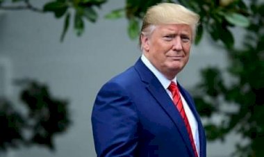 US election: Nigerian-Americans list immigration, healthcare as top issues