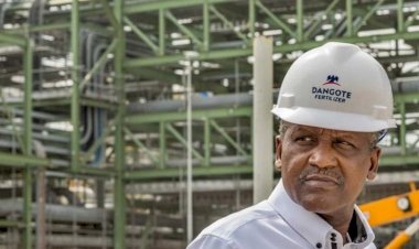 Dangote fertiliser plant to begin operation December – Official