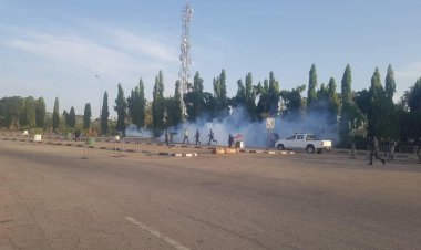 Four reportedly arrested as police attack peaceful protesters in Abuja