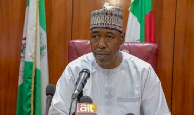 Zulum hails UAE on ‘Boko Haram sponsors’, asks FG to deploy multi-stakeholder team to follow-up, expand searchlight