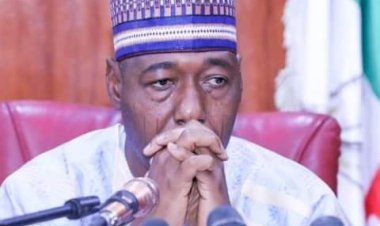 Breaking:Borno: Zulum appoints 132 as chairmen and members of boards, senior special assistants snd special assistants