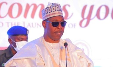 Boko Haram: How Borno unveiled Zulum’s 25-year Development plan