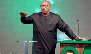 Peter Obi: Nigeria Won’t Prosper With Large Poor Population