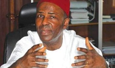 2023 Elections: We Are Rebuilding APC In S/East — Onu