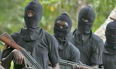 Gunmen kill 12 in Kaduna community