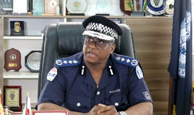 Gambia:Police Announce They Will Start Arresting Cows And Other Animals Found At Public Places