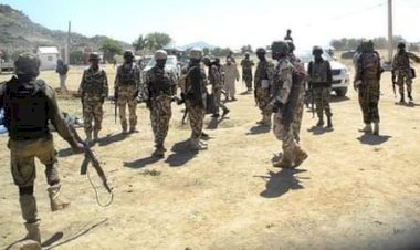 Nigerian troops arrest 10 bandits, recover 88 rustled livestock — DHQ