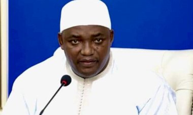 The Gambia Scores High in Controlling Corruption, Maintaining Democratic Rights