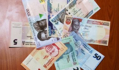 How to Access up to 10 Million Naira Collateral-free CBN Loan