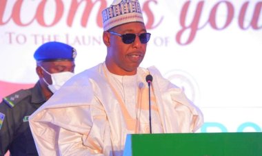 No attack on Zulum’s convoy or security aides, media aide clarifies