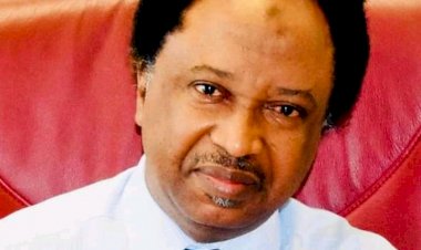 Nigerians Needs A Leader like Senator Shehu Sani_Amb.Abdul Bonga