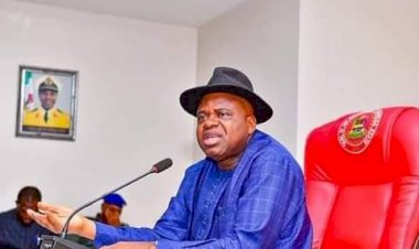 States should manage Ecological Funds, not Abuja — Gov Diri