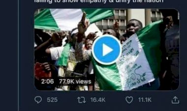 CNN's Lie of a Deadly Massacre