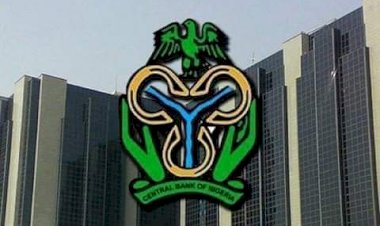 FG launches portal for exited N-Power beneficiaries to apply for CBN empowerment options