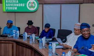 Nigerian governors condemn killing of Borno rice farmers