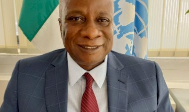 Zabarmari Massacre: UN withdraws claim 110 died in Boko Haram attack