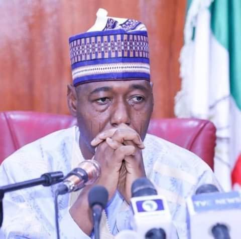 Breaking:Borno: Zulum appoints 132 as chairmen and members of boards, senior special assistants snd special assistants