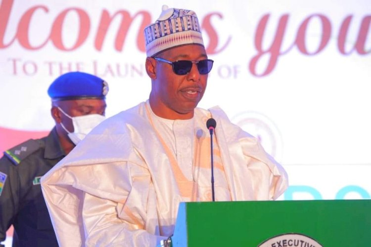 No attack on Zulum’s convoy or security aides, media aide clarifies 