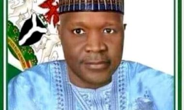 Gombe Governor Condemns Borno Killings