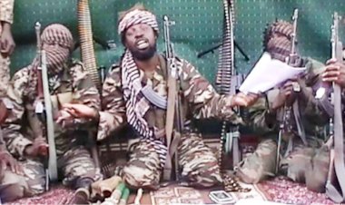Zabarmari: Why We Killed 78 Rice Farmers In Borno – Abubakar Shekau