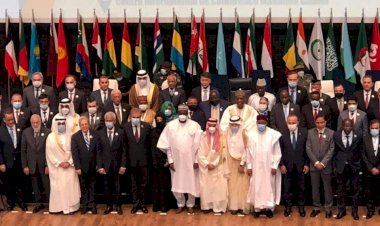 OICGAMBIA Officials Attend Historic OIC Summit in Niger