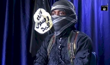 Why we killed Zabarmari farmers – Boko Haram