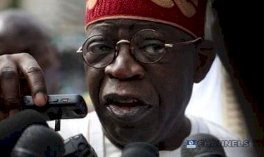 Attack On Borno Farmers Is Satanic’: Tinubu Condoles With Zulum