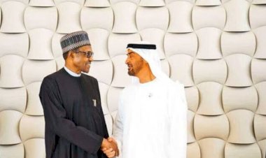 UAE celebrates relations with Nigeria as it marks 49th Anniversary