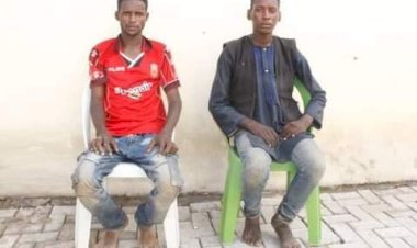 TRANSNATIONAL KIDNAPPERS OF RESCUED AMERICAN CITIZEN – PHILIPPE NATHAN WALTON, ARRESTED.