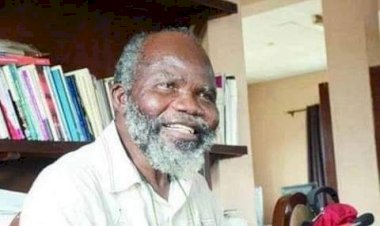 Too Many Generals, Few Soldiers Fighting Boko Haram —Gen Ishola Williams (retd)