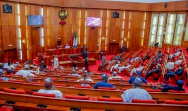 Senate Summons Defence Minister, Service Chiefs Over Kankara Kidnapping
