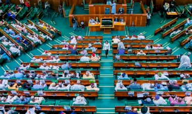 Why Reps Stopped Commencement Of FG’s 774,000 Jobs