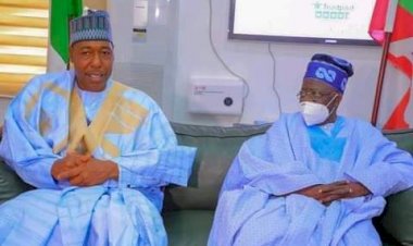Boko Haram: Tinubu Visits Zulum, Wants Military To Change Strategy