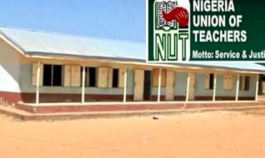 Katsina Abduction: Teachers Demand Safety Nationwide, Threaten To Down Tools