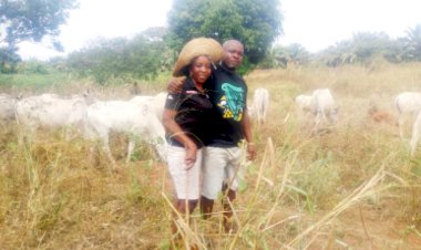 Encounter With Igbo Herdswoman