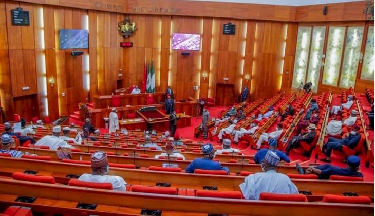 Senate Summons Defence Minister, Service Chiefs Over Kankara Kidnapping