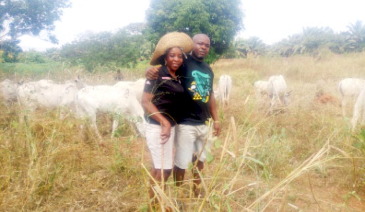 Encounter With Igbo Herdswoman