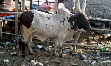 Fulani Herdsmen are not under attack or being  chased out of Ebonyi State, Alhaji ADAMU Peacefully and willingly relocated from Ebonyi  State to Taraba State."