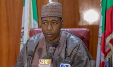 Zulum approves N10m for ex-servicemen, fallen heroes' families