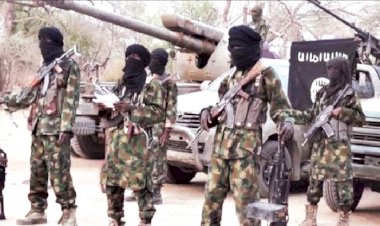 Boko Haram Kills 3 Villagers, Loots Livestock Near Maiduguri