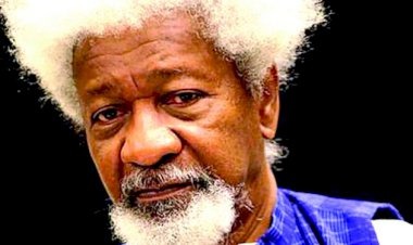 Amotekun must not become another SARS – Soyinka