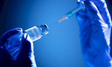 COVID-19 Vaccines: Covax To Provide 600 Million Doses For Africa–WHO